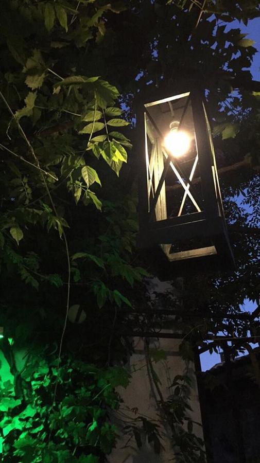 Dalyan Butik Otel Hayat Bahcesi Ayvalı 외부 사진